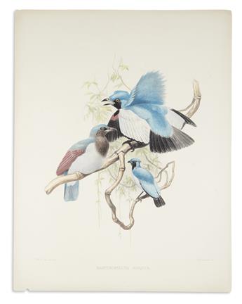 ELLIOT, DANIEL GIRAUD. Group of 8 hand-colored lithographs